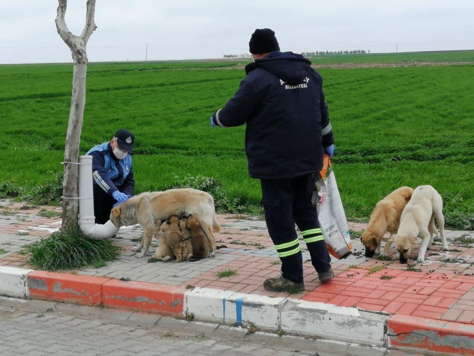 Kırklareli’de yürekleri ısıtan görüntü 