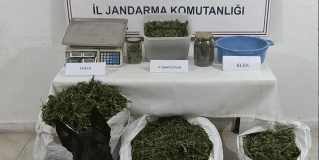 Kırklareli'nde bir evden 22 kilo esrar çıktı