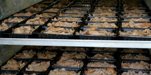 Kırklarelinde döner skandalı: Ülkeyi ayağa kaldıran görüntülerin ardından 100 kilogram et imha edildi