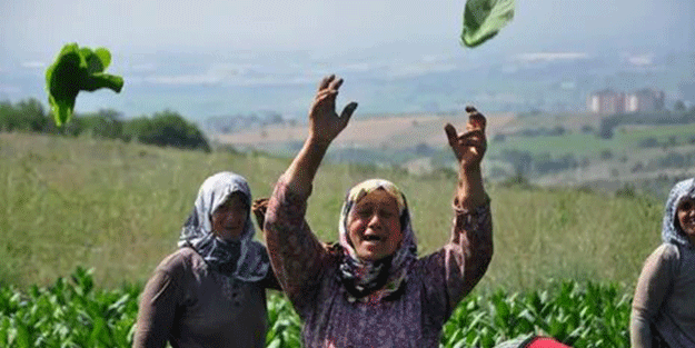 Kırklareli'nde kadın çiftçiler arasında bilgi yarışması düzenlendi