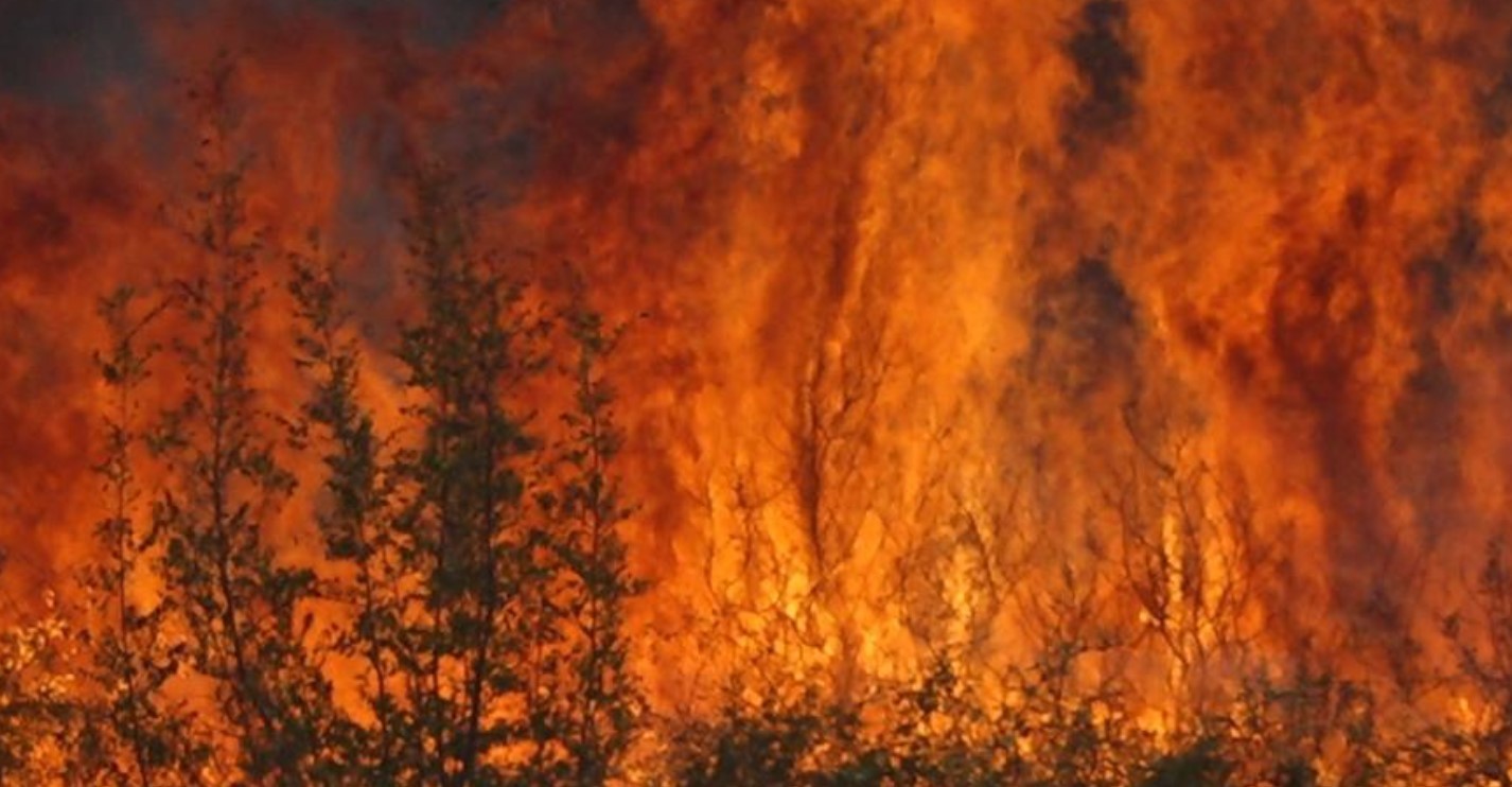 Kırklareli'nde otluk alanda yangın