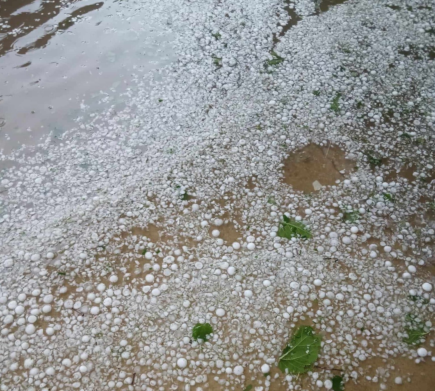 Kırklareli'nde şiddetli dolu yağışı: Köy ve çevresi beyaz örtüyle kaplandı