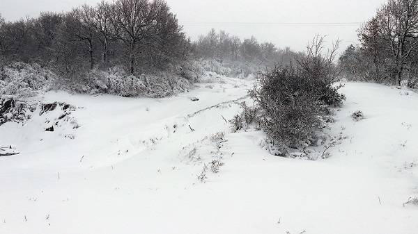 Kırklareli'nde yarın okullar tatil mi? 1 Mart 2022 Salı Kırklareli okul var mı?