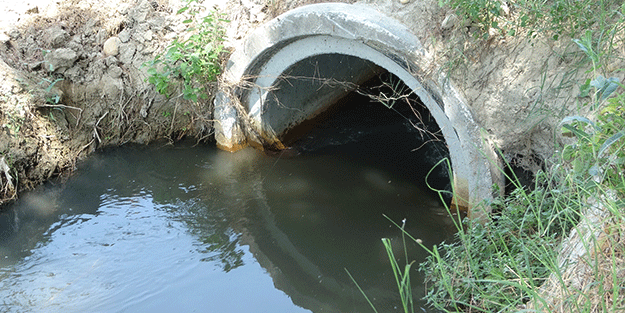 Kirli su başa bela oldu!