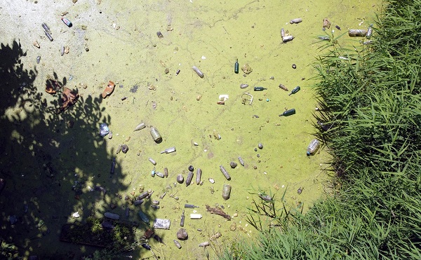 Kirlilik yüzünden bu hale geldi