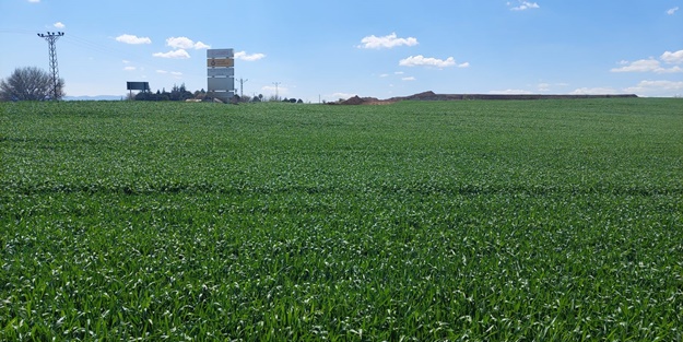 Kırmızı alarmlı kuraklık sonrası yağışlar umut oldu