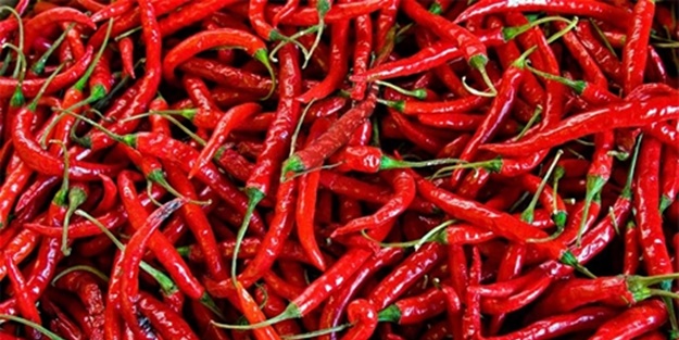 Kırmızı biberin hiç bilmediğiniz öyle bir faydası var ki!