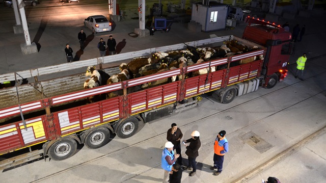 Kırmızı et açığına 