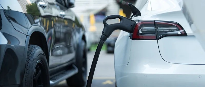 Kırmızı ette pahalı ama o konuda en ucuzu Türkiye!