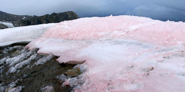 Kırmızı karların sırrı çözüldü