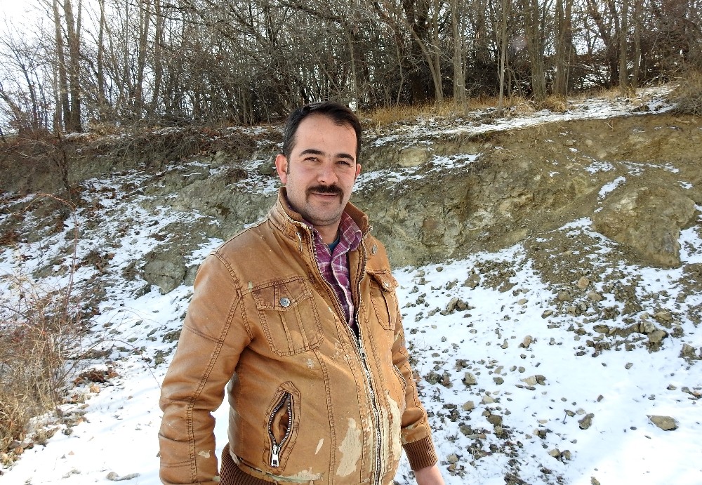Kırmızı listedeki vaşak Erzincan’da görüntülendi 