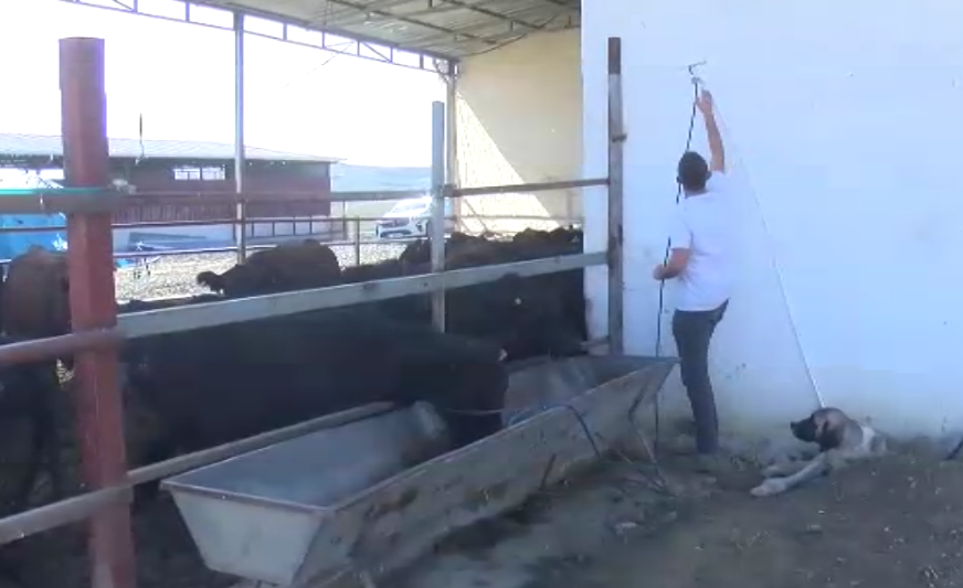 Kırsalda bereket yükseliyor! Genç çiftçiye verilen destek muhalefeti yine boşa düşürdü