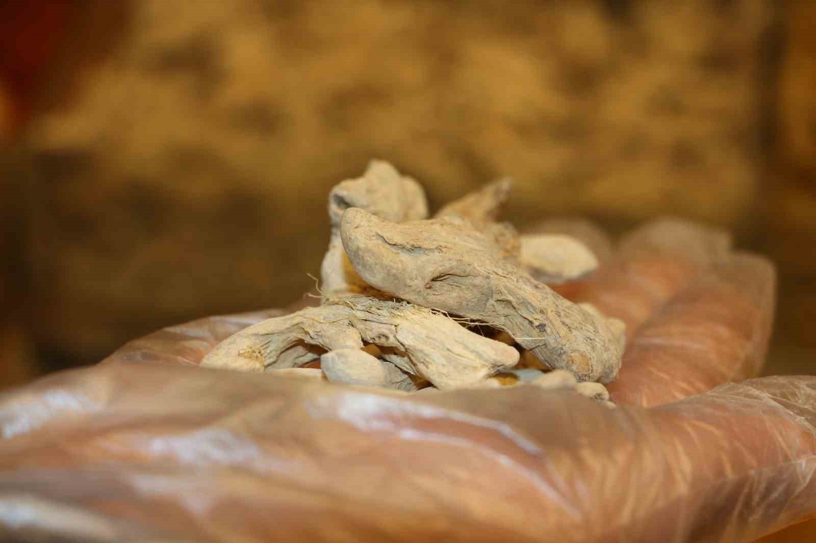 Kış ayında hasta olmak istemiyorsanız aktara koşup bunu alın!