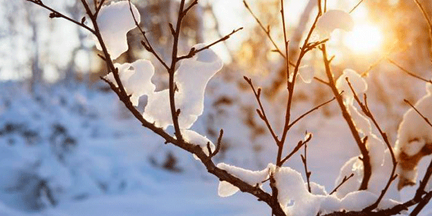 Kış aylarında hava sıcaklığı normalin 2-3 derece üzerinde olacak