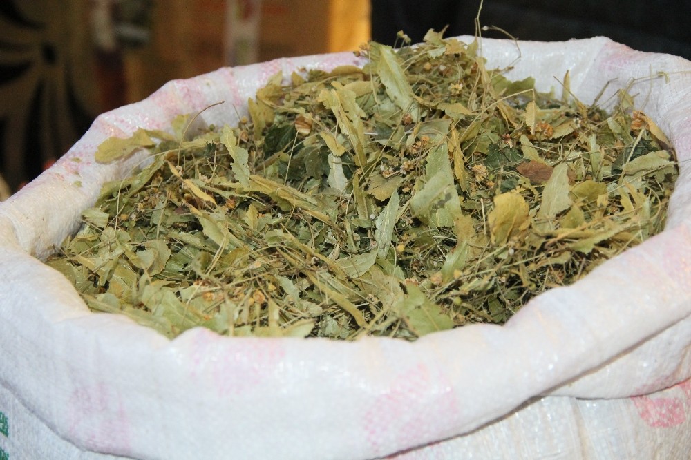 Kış aylarının vazgeçilmezi ıhlamur 