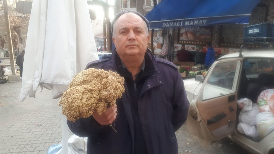 Kış günlerinin şifa kaynağı Akbaşlı otu pazar tezgahında 