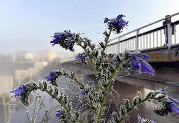 Kış kendini o illerde hissettirdi!