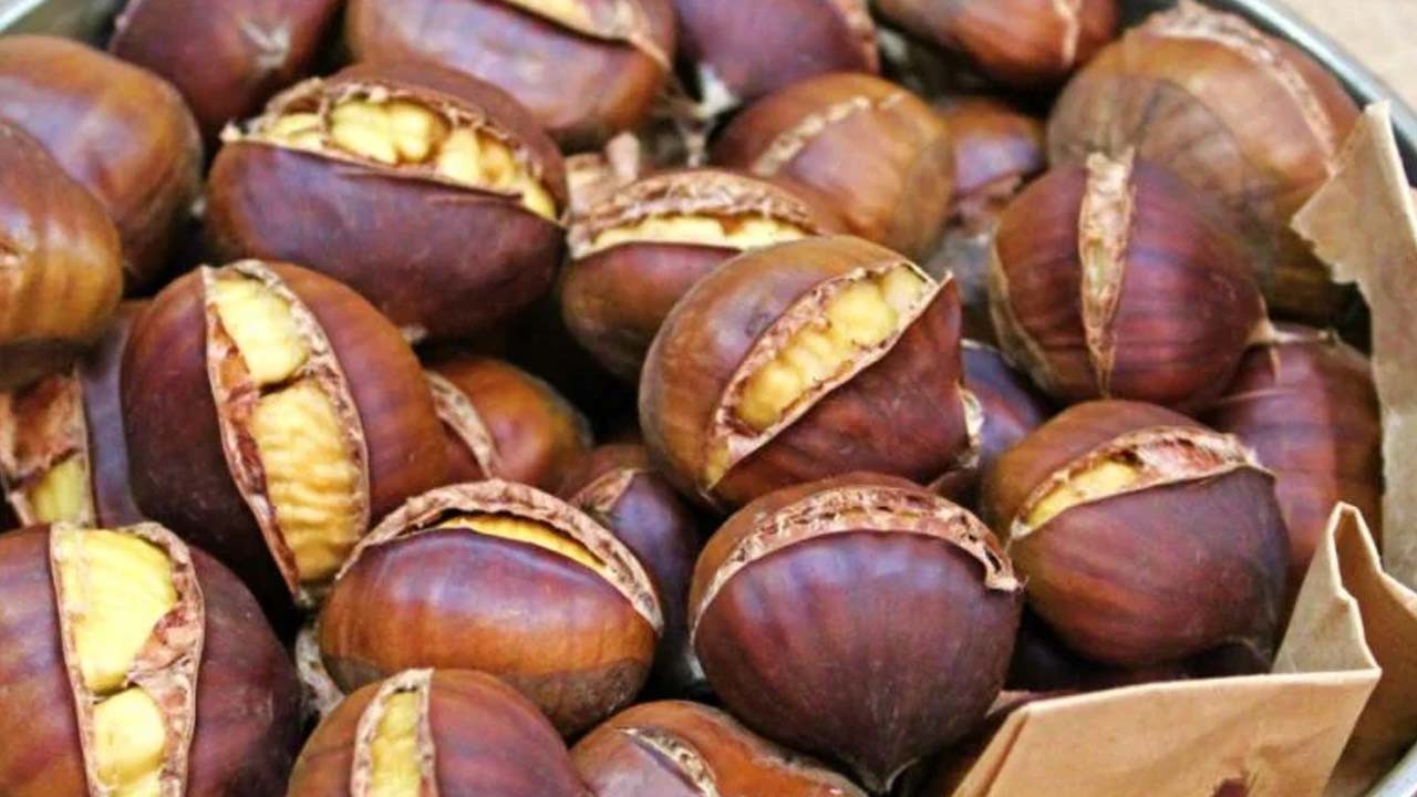  Kış meyvesi kestanede 72 bin tonluk üretim bekleniyor