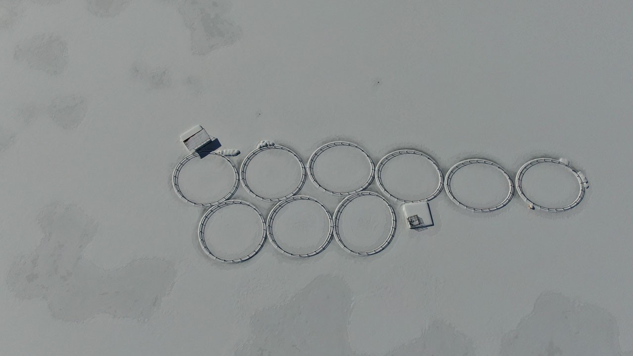 Kış sert yüzünü gösterdi: Barajlar dondu!