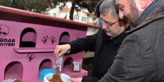 Kış soğuklarına karşı kedi evi projesi