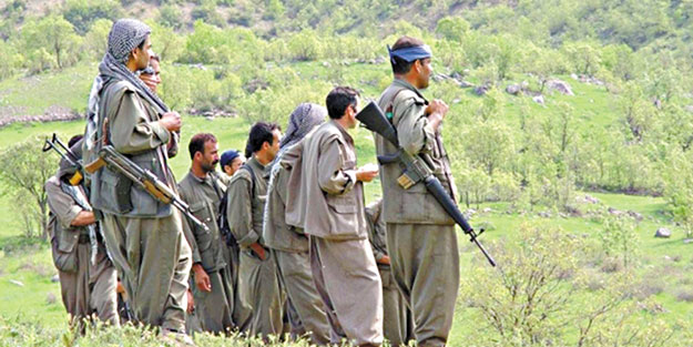 Kış uykusuna yatan PKK, ABD korumasında