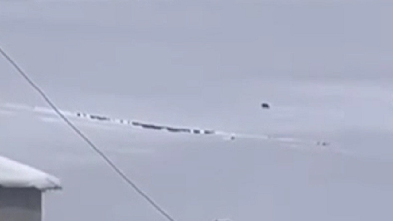 Kış uykusuna yatmadı, pazara indi!