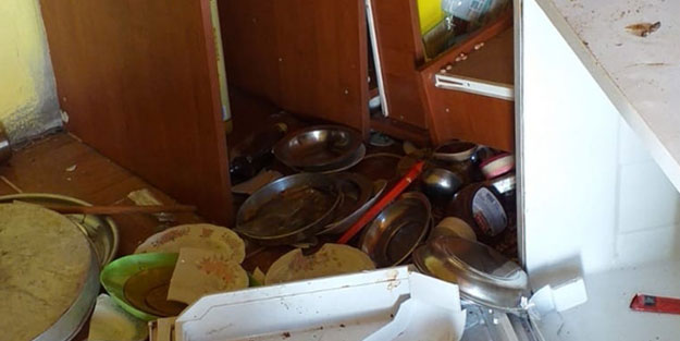 Kış uykusundan uyanan ayı köye inerek dehşet saçtı