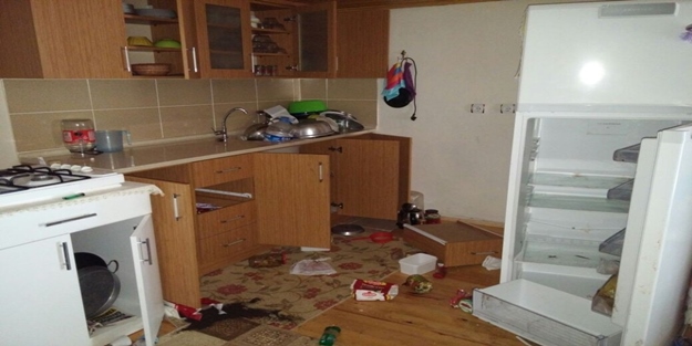 Kış uykusundan uyanan ayılar evleri talan etti