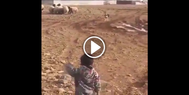 Ufaklığın kısa süreli artistlik denemesi