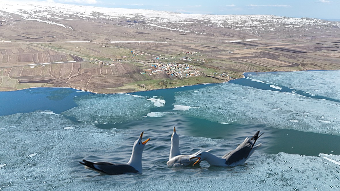 Kışın atlı kızak gezintisi yapılan Çıldır Gölü’nde buzlar eriyor! O anlar dronla görüntülendi!