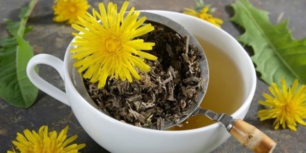 Kışın bu bitki çaylarını mutlaka tüketin