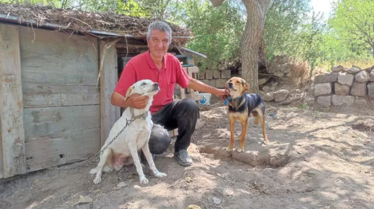 Kısırlaştırılmış 85 köpeğe bakıyor