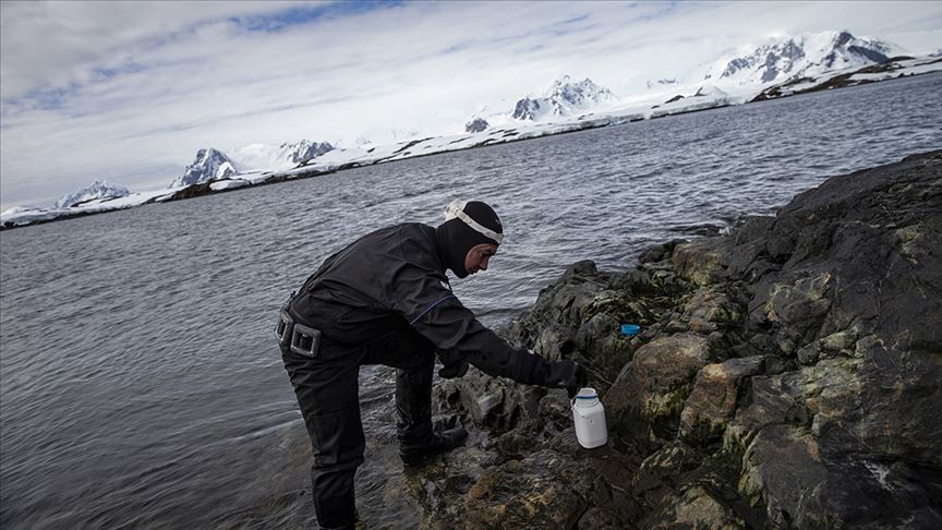 Kişisel bakım ürünleri Antarktika kıyılarını da kirletti