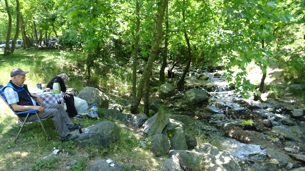Kısıtlama bitti Bursalılar piknik alanlarına akın etti 