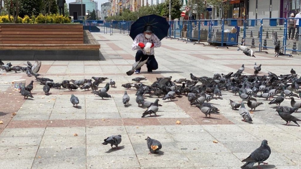Kısıtlama günlerinde güvercinleri 65 yaş üstü vatandaşlar besledi 