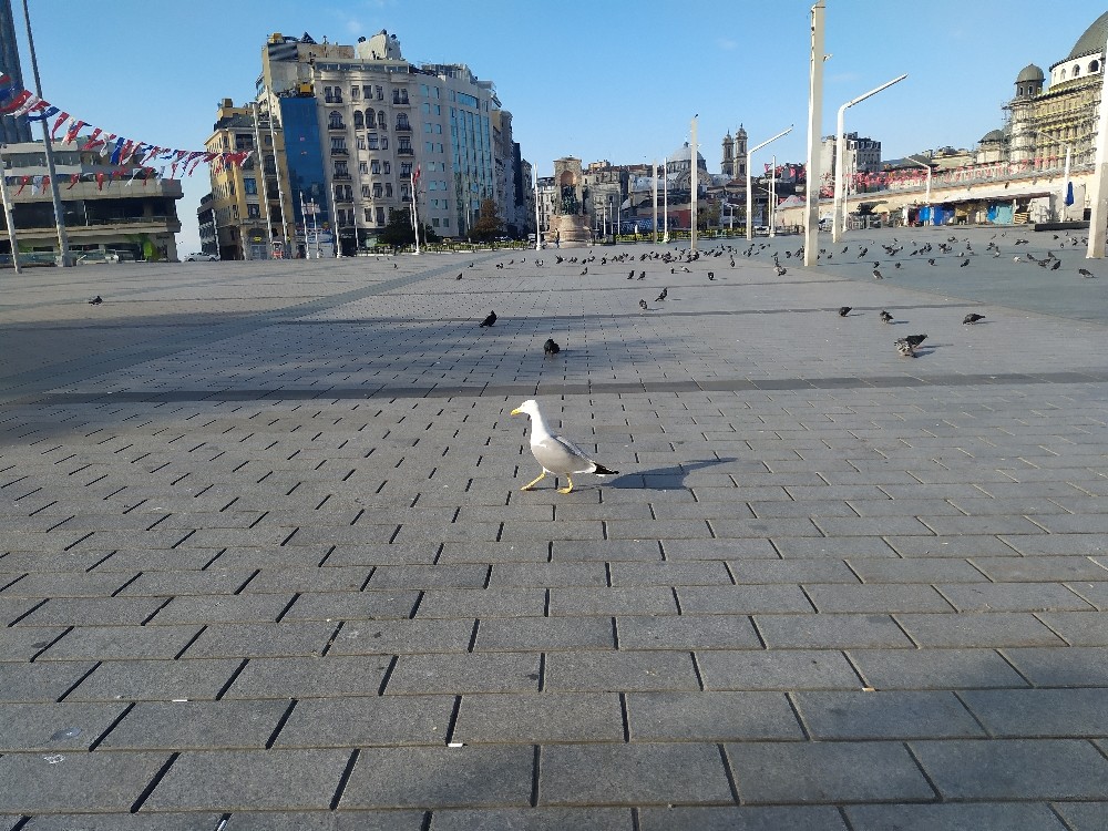 Kısıtlamanın sabahında İstanbul sessizliğe büründü 