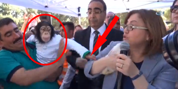 Kıskanç maymun Fatma Şahin'e saldırdı