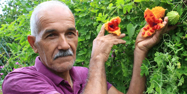 Kısmeti ayağına geldi! Ciddi para kazanıyor ama nasıl oldu o da bilmiyor