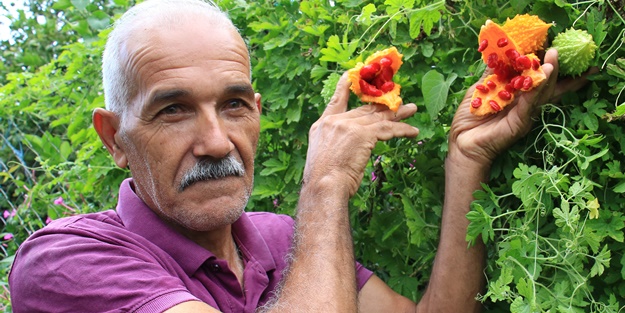 Kısmeti bahçesine geldi... Tanesini 10 TL'den satıyor