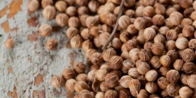 Kişniş nerelerde kullanılır? (Tüm detaylarıyla): Cilde müthiş fayda veren kriterine sahip! Görenler şaştı kaldı!