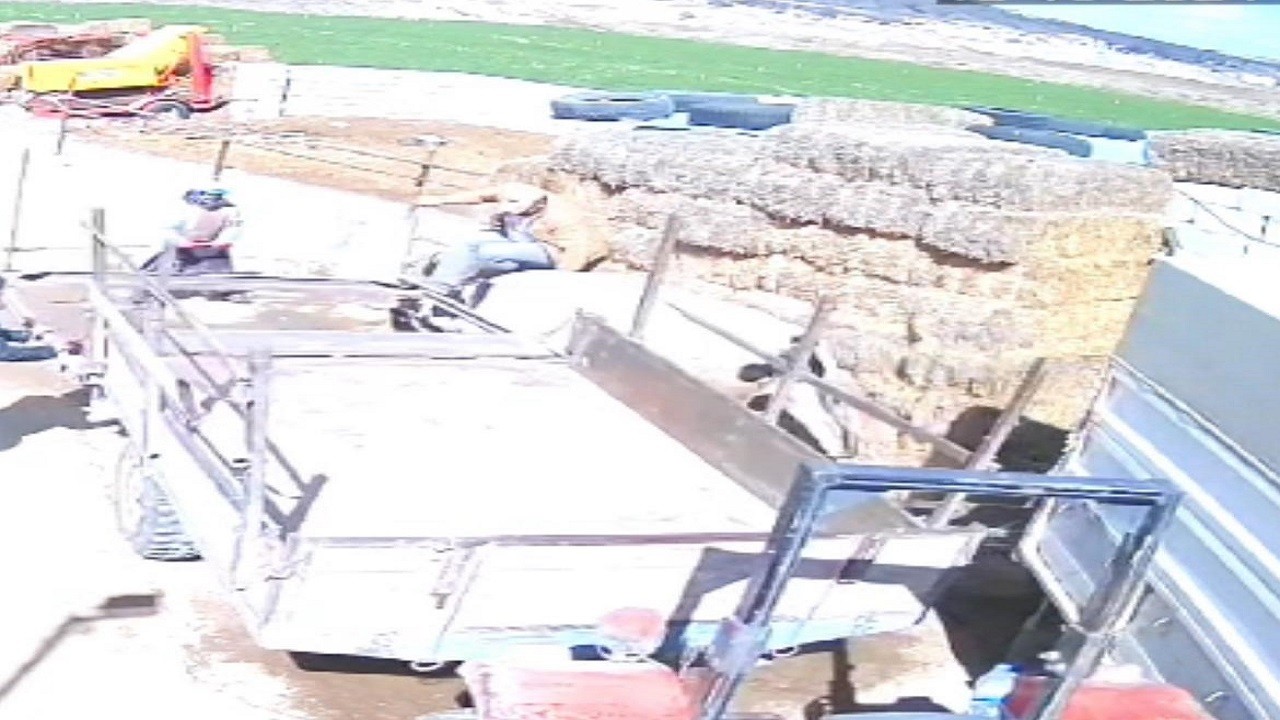 Kızgın boğa ortalığı savaş alanına çevirdi