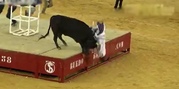 Kızgın boğanın acı intikamı!