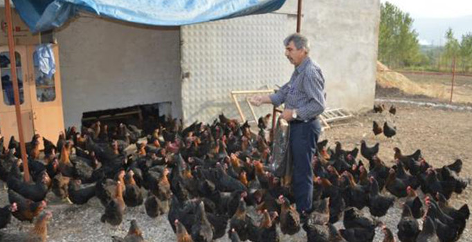 Kızı için çiftlik açan adam şimdilerde iş sahibi oldu