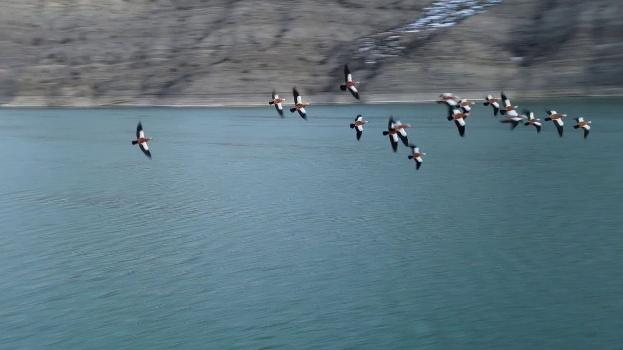 Kızıl kanatlar gökyüzünü süsledi