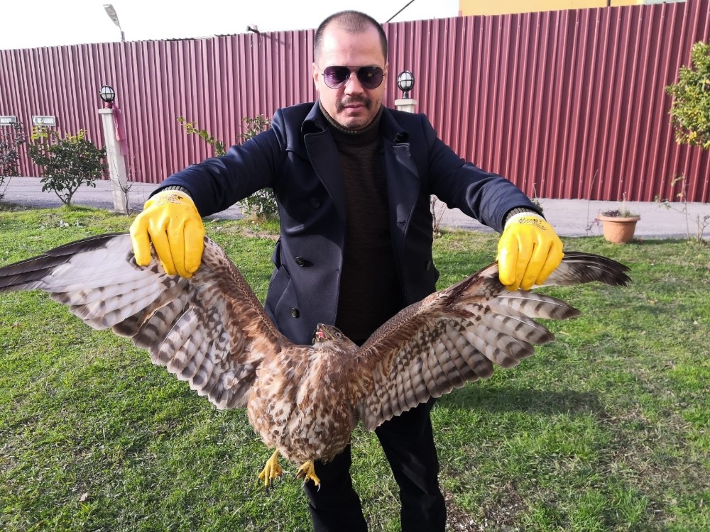 Kızıl şahini vurmanın bedeli 11 bin 330 lira 