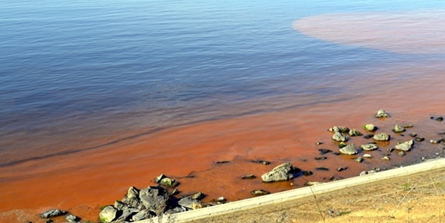 Kızıl tabakanın sırrı çözüldü