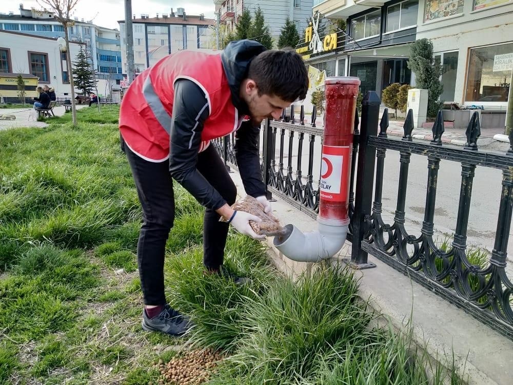 Kızılayın genç gönülleri aç kalan sokak hayvanlarına sahip çıktı 