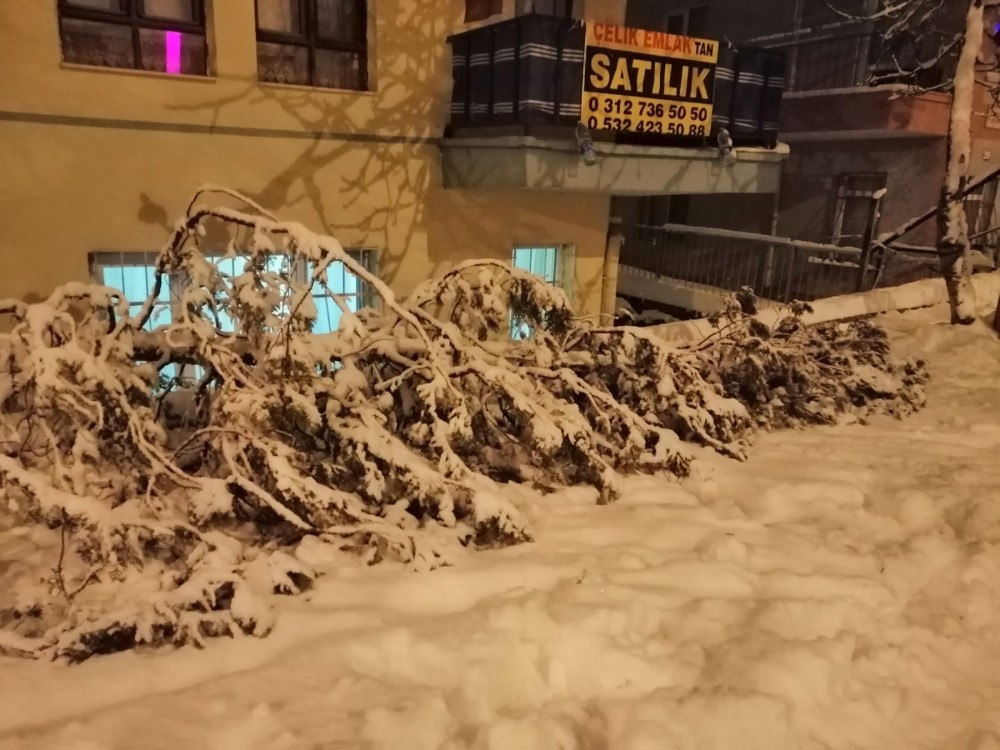Kızılcahamam’da yoğun kar nedeniyle ağaçlar devrildi 
