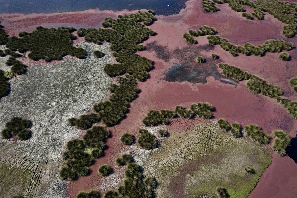 Kızılırmak Delta'sının son hali şaşırttı
