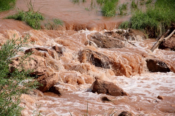 Kızılırmak'a rengini veren çay coştu
